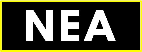 NEA Network Engineer Academy Logo