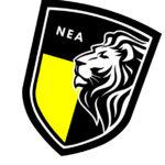 NEA LOGO networkengineer academy