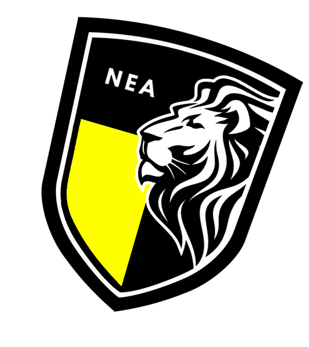 NEA LOGO networkengineer academy