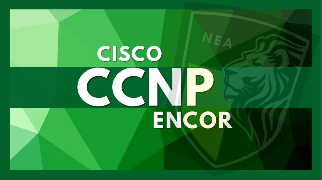 _Network Engineer Academy cisco ccnP